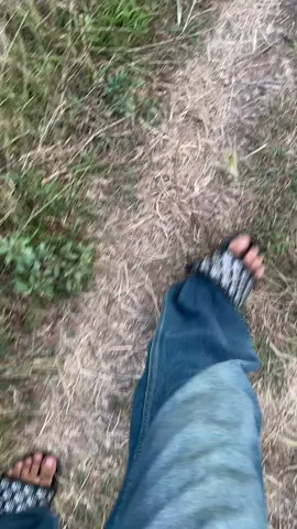 #fyp 
