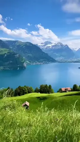 #قران_كريم #مشاهدات #لايكات #شكرا_على_دعمكم💖 