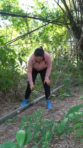 Help 72 Year Old Man Retire Build a Bamboo Bridge Across The Stream To a New, Isolated Land