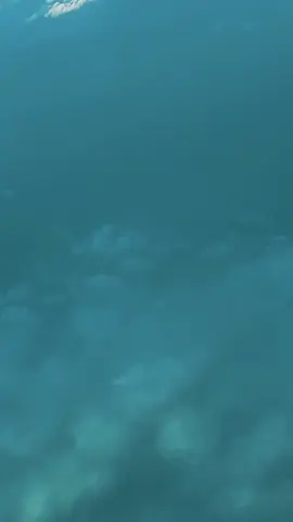 We do custom Designs for all occasions. #honourableclothing #clothingdesign #brand #clothingbrand #ikejokes 