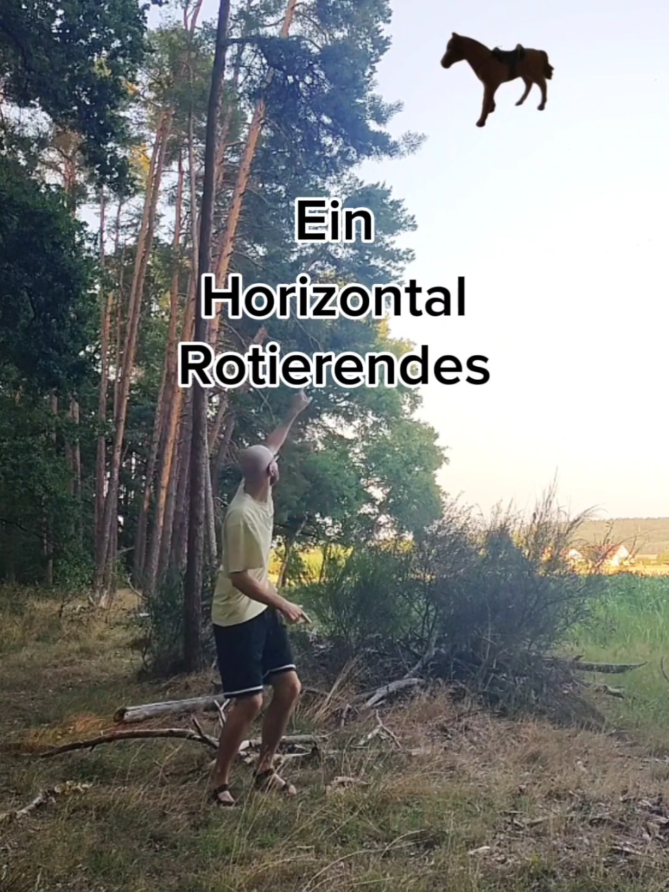 Gabber Pferd #gabba #gabber #hakken #gabbertok #fyp 