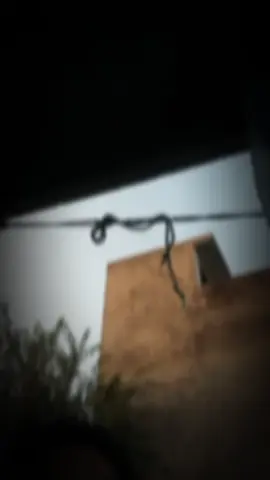 سمجھا نا🤍✨🥀#creatorsearchinsights #chakswari_ajk💫♥️ #contentcreation #alonekashmiri #tiktokgrowth @✨𝘙𝘢𝘩𝘪𝘮𝘴𝘩𝘢47✨ @Mano mahir @Ahmii Bhaii✍🏻 @✨ Rehman writes ✨ 