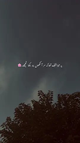 Tera zarf 🫡❤️‍🔥-#aesthetic #urdupoetry #viral #foryou 