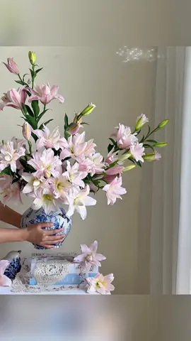 Ly kép Amistad 💗💗💗#hoa #yeuhoa #hoaly #lykep #hoalykep #lykepamistad 