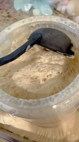 The ‘Pet’ You Only Need to Feed Flour and Water!#fyp#foryou#Knowledg#WeirdPets#GenZTrends