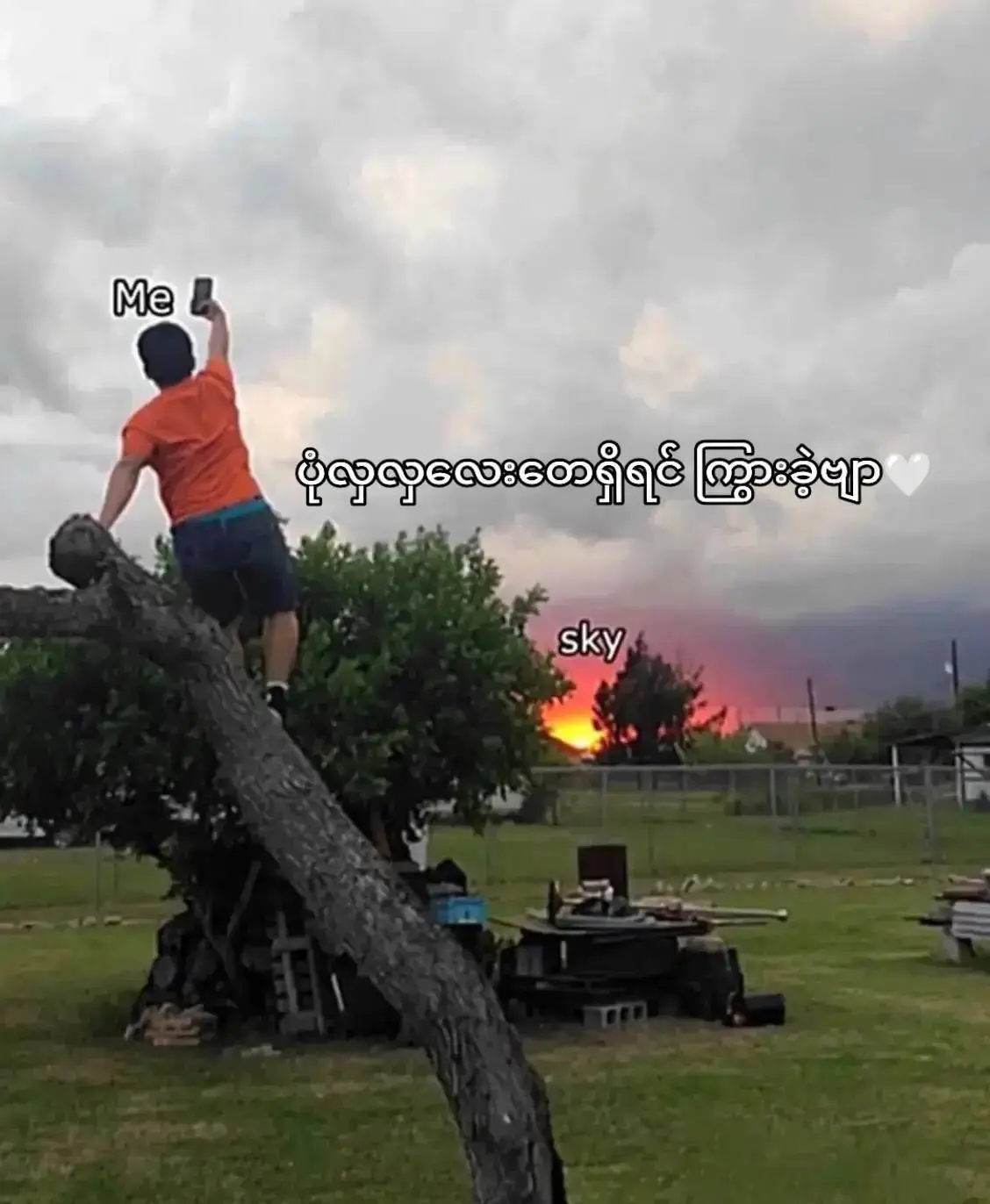 #ပုံလှလှလေးတွေရိုက်ကြမယ် #ပုံလှလှလေးတွေရိုက်မယ်📸🇲🇲 #myanmartiktok🇲🇲🇲🇲 #fyppppppppppppppppppppppp #foryoupage 