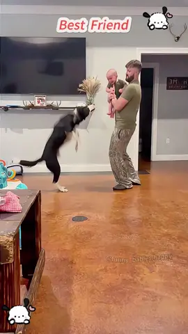 Baby’s best friend#foryou #foryoupage #funnybaby #cutebaby #babiesoftiktok #babylovers #babylove #babies 