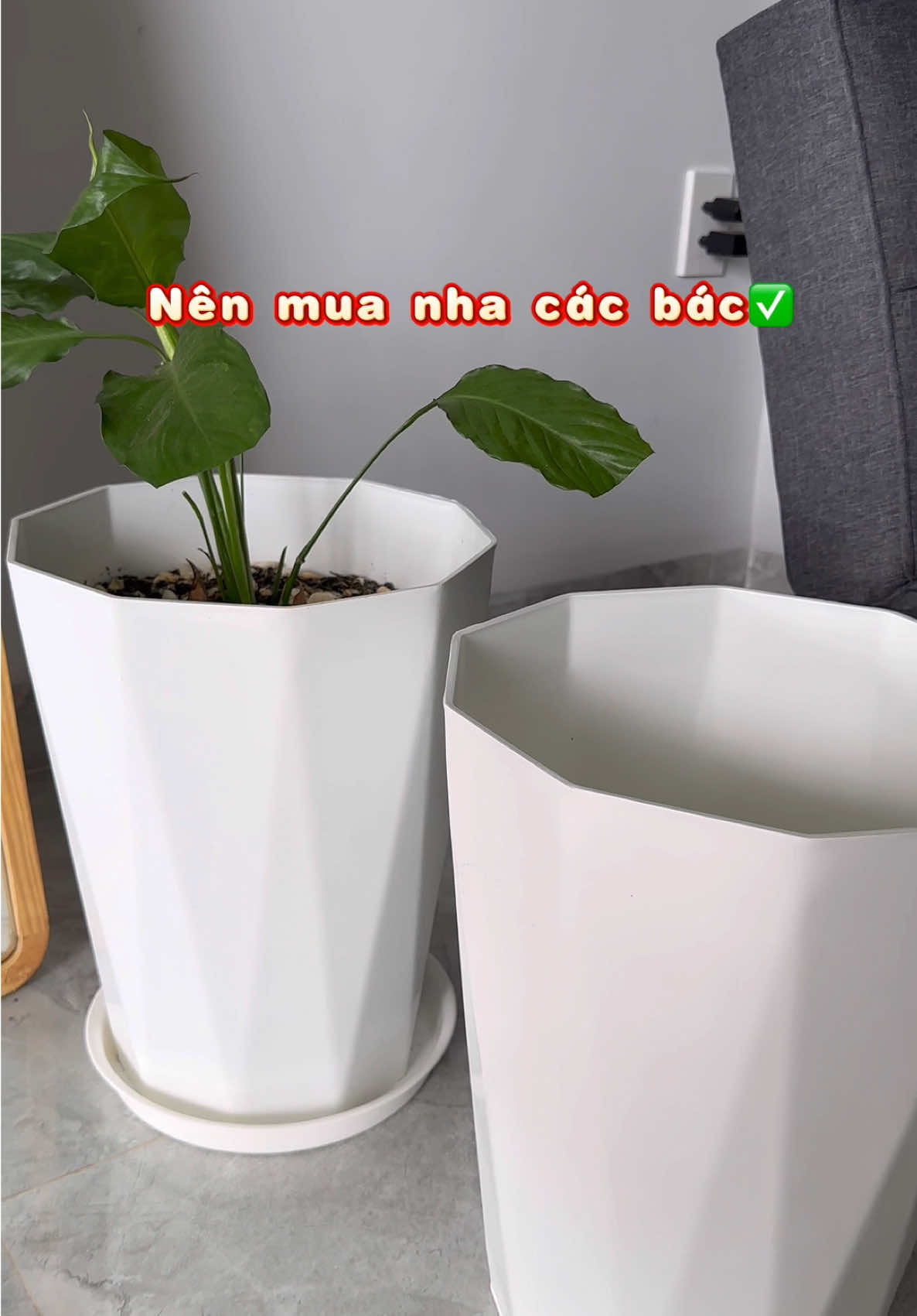 Chậu nhựa trồng cây.#chaunhua #chautrongcay #tiktokvideo #tiktokshopmall 