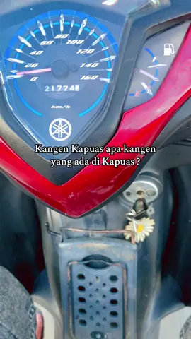 Vibes #kotaair disore hari #kotaairkualakapuas #kualakapuas #kapuas #kualakapuaskalimantantegah #kualakapuascity #kualakapuascinematik #vibessong #vibessenja #sorehari 