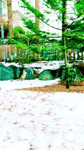 Yo mutu dhadkan#foryou #fyp#neplaitiktok #all #tiktok 