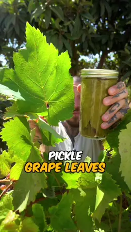 I was so into the game that I forgot I cooked sarma for everyone 😅 @Hay Day  #sarma #dolma #grapeleaves #haydaypartner #fyp