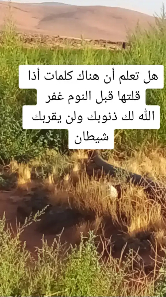 #كلمات أذا قلتها قبل نومك....#الجائر_تونس_المغرب_الاماراات_مصر #الشعب_الصيني_ماله_حل😂😂 #الامارات_العربية_المتحده🇦🇪