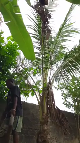 @AGEGE @GehGeh @GEHGEH @Gehgeh @GehGeh 🔹.                   l still get hope pass who dey alive @TikTok 