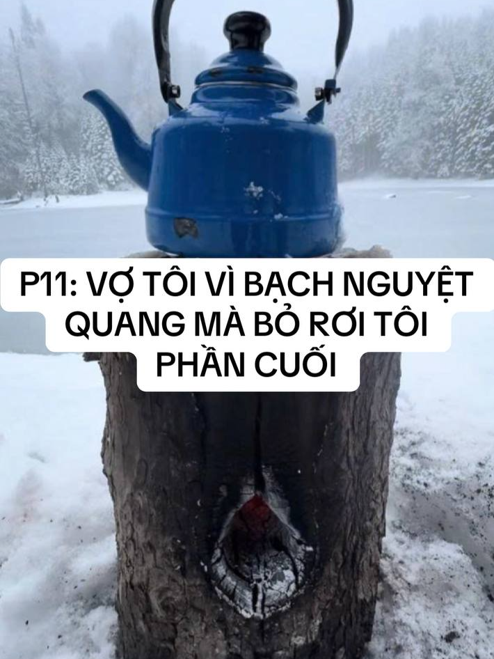 P11 [PHẦN CUỐI] VỢ TÔI VÌ BẠCH NGUYỆT QUANG MÀ BỎ RƠI TÔI