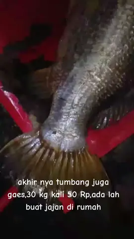 usaha yg tidak sia2 gaes