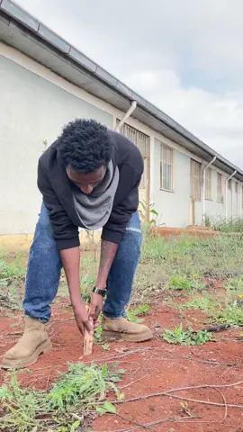 #creatorsearchinsights #funnyvideos😂 #fypp #viraltiktok #ethiopian_tik_tok 