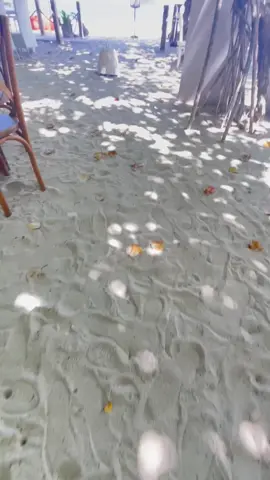 silak semeton pade lite liburan jok pantai selong belanak,silak mentelah benasik lek ti restaurant yak pade satukm.#lombok #tiktok #selongbelanakbeach 