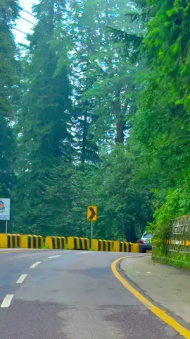 مورخہ 21 اگست 2025، ملکہ کوہسار مری کا خوبصورت موسم#fyp #fyppppppppppppppppppppppp #viral #murree #snowfall 