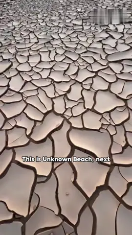 What kind of beach is this#popular #funny #usa #fyp 