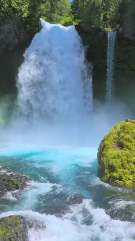 Rising up from crystal-clear waters, the view opens to a vibrant alpine meadow, crowned by the snow-capped peak of a majestic mountain in the heart of the Pacific Northwest. The shimmering creek reflects warm sunlight, while the breeze moves gently through the tall grasses, accompanied by the peaceful sound of birdsong—pure mountain serenity 😌