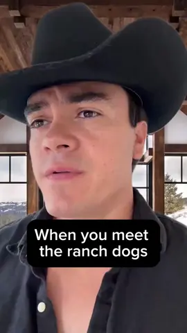 Aways in the mood for fetch 🐶😳 #richfriend #funny #shanegillis #wolves