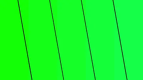 New Template |Green Screen| Try in CapCut #CapCut #edit #viral #foryou #foryoupage 