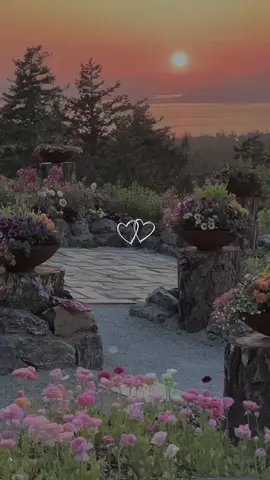 #CapCut #روعه____جميل🌹_ذوق_🌹تصميمي🎼 #تصميمي #مختلفه_بتفاصيلي؍َِ😌 #زتو_اقتباسات_اي_شي💜🎼 