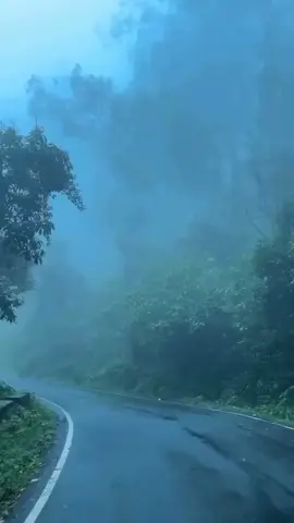 #life #following #fyp #Love #nature 