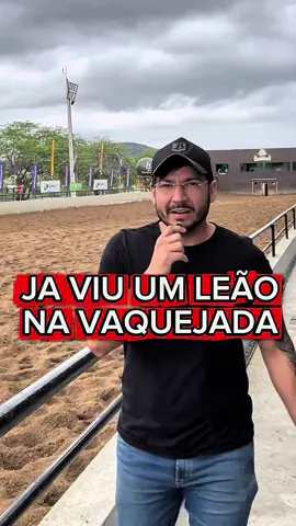 🦁💸 Você já viu um leão na vaquejada? Ele existe! 👉 Existem varias formas de tributação na venda de cavalos, e você pode estar pagando mais do que deveria. 🐎 Empresário da vaquejada, não deixa o leão te pegar no meio da pista.  ➡️ Me segue e descubra como transformar a tributação numa vantagem, não numa dor de cabeça. #contabilidade #tributacao #cavalo #vaquejada #empresario 