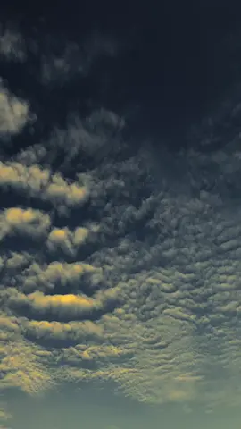 اللهم اجعل الصعب سهلا، والمشكوك مؤكدا، والمستحيل واقعا. Ya Allah, jadikanlah yang sulit menjadi mudah,yang ragu menjadi pasti, yang tidak mungkin menjadi kenyataan. #arabic #arabicsong #arabicqoutes #katakataarab #qoutesislami 