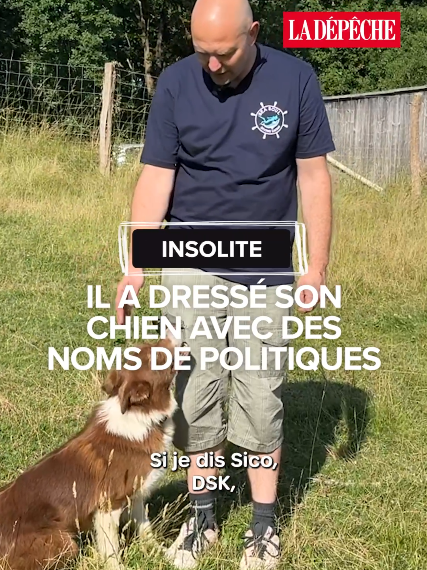 Sarko pour aller à droite, Hollande pour tourner à gauche ou encore Le Pen pour rester au garde-à-vous. Dans le Béarn, Jean-Baptiste, éleveur, a dressé son chien de berger avec des noms de politiques... Et tous les partis sont représentés. #insolite #sudouest #politique #chien #bearn