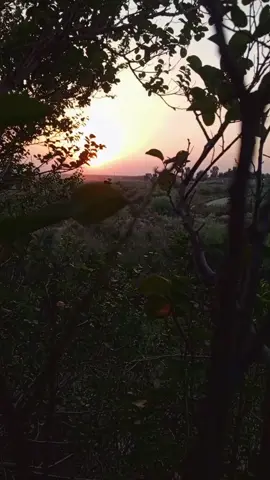 #تصويري_احترافي_الاجواء👌🏻🕊😴 