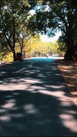 @RIKA ‼️🥤 @‼️🕷️IT'S ME RICHCHU 🫧🔐 @>| Y I P P E E (s)🧸 @king!!!rifa @mr_yoonu♡ 