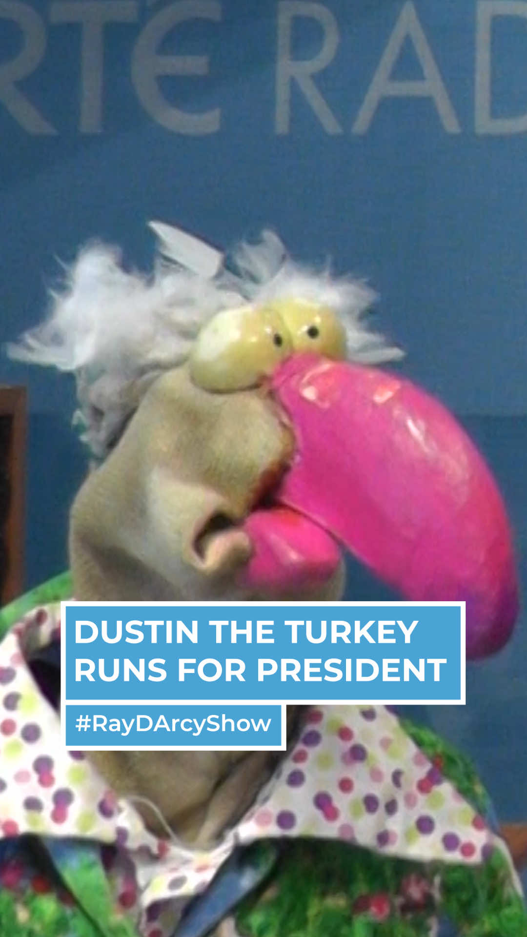 “Christmas will be cancelled but the Toy Show will go ahead.” 🤣🤝  Dustin the 🦃 joined the #RayDArcyShow to share some of his promises if he becomes president.