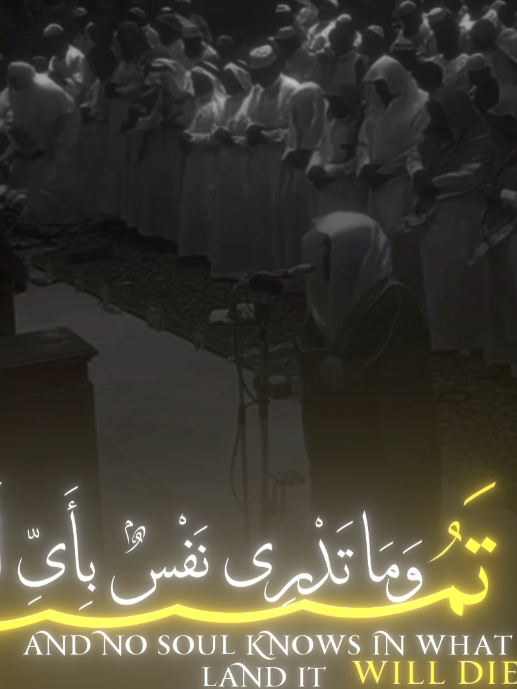 😴 #قران #ياسر_الدوسري  وما تدري نفس 