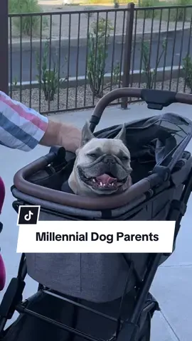 Tell me you treat your dog like a baby without telling me you treat your dog like a baby… #dogparents #comedy #dogs #childlessmillennial #studentloans 