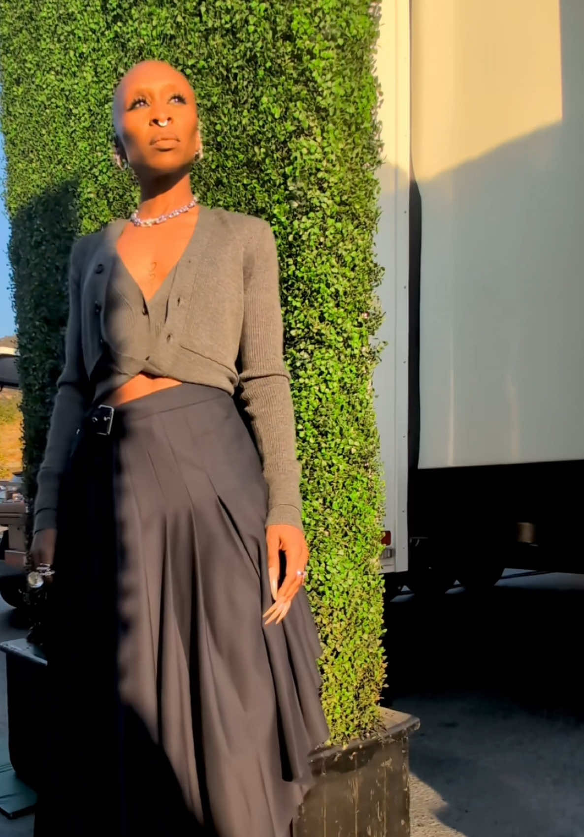 ☀️☀️☀️ #TheShamelessFund 