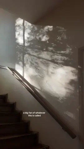 love seeing this every day after coming home from work <3  #komorebi #shadows #lightandshadow #shadowdance 