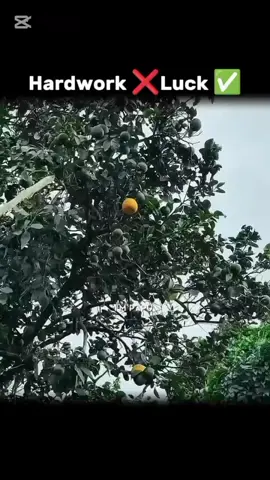 hardwork ❌skill✅ #viralvideo #foryoupage 