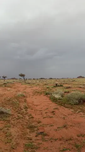 #اكسبلورexplore 