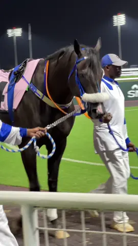 #خيل_وخياله🐎 #خيل #ميدان_الملك_عبدالعزيز_للفروسية #ميدان_الملك_خالد_للفروسية #jockey 
