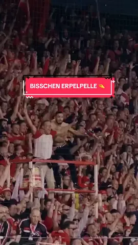 Na da sind wa doch wieder! ❤️‍🔥@Bundesliga, haben dich ein bisschen vermisst 🥹🫶 #FCUnion #Bundesliga 