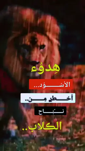 #🤫🤫🦅🦅🤫🤫🇪🇬☝🏻✨ 