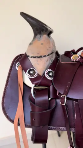 Montura lisa cuero látigo americano que fue rifada por nuestros amigos @Estefy Sepúlveda #galopandoporunsueño #caballos 