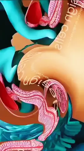 take onion 🧅 for a small bag of food and I will get it done tomorrow but you have #healthybhicoolbhi #foryou #viral #trending 