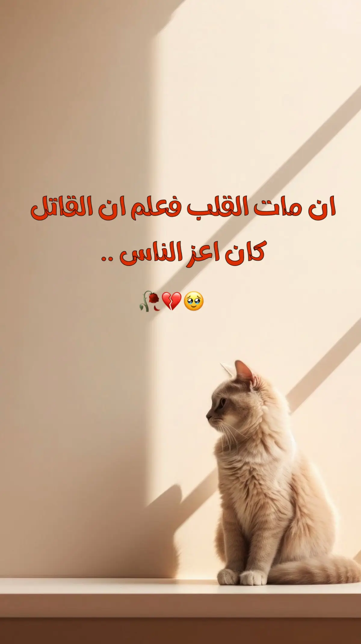 #عبارات #اعادة_النشر🔃 