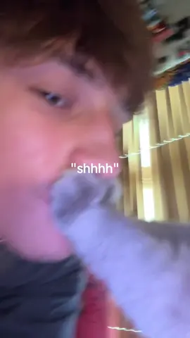 #fyp #xyzbca #funny #cat #trending 