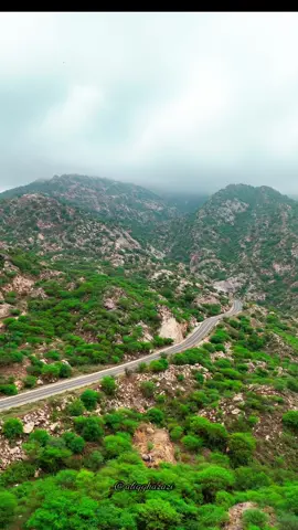 منظر العارضة بجازان من السماء غير… 🌄✨ طبيعة ساحرة، جبال تلامس الغيم، وأرض كأنها لوحة فنية. العارضة محافظة من جازان.. جمال ما ينمل منه 💚🚁”#ا#العارضةج#جازانا#العارضة_جازانا#السعوديةد#درون#fyp   