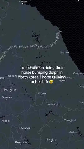 ITS DOLPH 