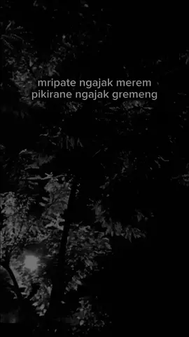 #fyp #promoseruweekend 